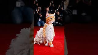 Red Carpet Royal Meow-ments #shorts#cat#ai #cute#shortvideo