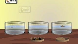 Soluble and insoluble materials - Experiment - Elementary Science