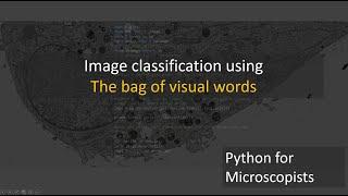 69 - Image classification using Bag of Visual Words (BOVW)