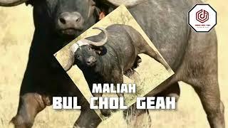 Maliah-Bul Chol Geah (Official Video)