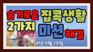 슬기로운 집콕생활하기 2가지 미션 해결하기