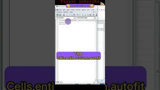 How to Use Auto fit Option Using Excel Code #excelcode #excel #excelformula #exceltutorial
