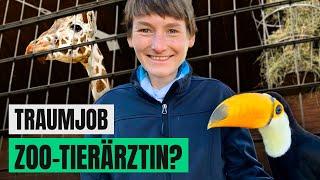 Tierärztin im Zoo: zwischen Tierliebe und Kritik