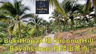 [槟城景点] #26 Bayan Lepas的Coconut Hill和Bukit Papan | 鲜少人爬的小山 | 整座山都是椰树 | 80分钟到山顶 | Full HD | cc字幕