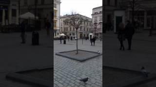 ESL Learn English PREPOSITIONS of PLACE  in the middle / in the centre