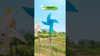 [세로시흥] 도심속의 텃밭 (시흥시 제5회 도시농업한마당 개최)