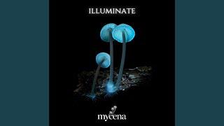 Mycena Media - Visionaries