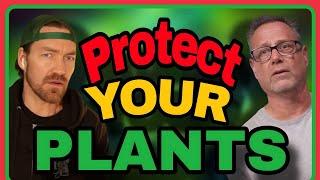 Advanced Cannabis IPM Tips Only Pro Growers Know About