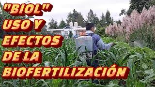 BIOL Y BIOFERTILIZACIÓN. Una herramienta poderosa