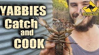 Yabbies CATCH n COOK!