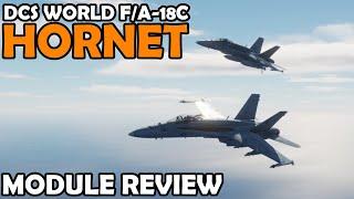 Strike Fighter | F/A-18C Hornet Review | DCS World 4K