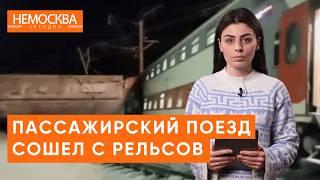 Столкновение поездов в Мурманской области. Мазут на побережье: волонтеры спасают птиц в Анапе