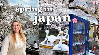 spring in japan  | cherry blossom hunting  inokashira park, shimokitazawa, hanami in west tokyo