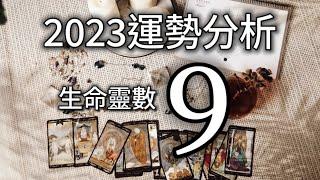 數字9 生命靈數 2023運勢大解密｜工作、感情、健康與家庭｜招桃花遇小人事業宿命 全面分析給你！烏亮而 心靈科技 #算命 #占卜 #奧修禪卡 #塔羅牌