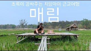 치앙마이판 리틀 포레스트 초록이 감싸주는 근교여행 매림 편 (Feat.화전, 미세먼지)