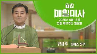 2025년 6월 16일 연중 제11주간 월요일 매일미사ㅣ양금주 토마스 신부 집전