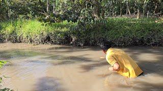 Giăng lưới trên vườn cá nhiều lôi chìm lưới. Bửa Cơm Miền Tây | Săn bắt SÓC TRĂNG |