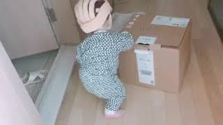 생각도둑의 육아일기 아들의 재롱잔치 박스 끌고다니는 포스봐^^ 걸음마 보조기도 있는데...