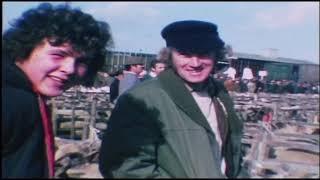 Malton Michaelmas Sheep Sale 1970's