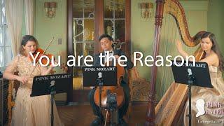 You Are The Reason - Calum Scott (Violin, Cello, and Harp Trio) - PinkMozart Entertainment