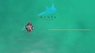 Manta Films Promo