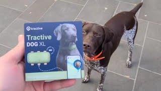 NEW Tractive Dog XL GPS Tracker Pet Tracker