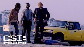 A Body and a Survivor Found on the Miami Shore