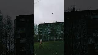 #та самая муха когда ты засыпаеш