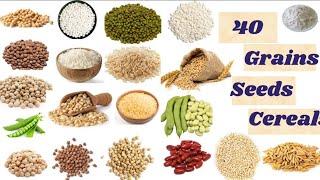 Grains vocabulary ||40 Grains, seeds and cereals name in english with pictures