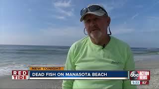 Tracking red tide's impact on Manasota Beach