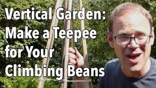 Vertical Garden: Make a Teepee for Your Climbing Beans