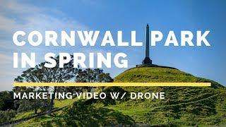 One Tree Hill, Cornwall Park, Auckland - Spring Edition