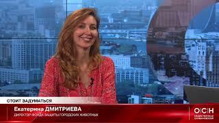 ОСН (Общественная служба новостей) - КАК ЖИВЕТСЯ ПИТОМЦАМ В РОССИИ? Эфир от 19.07.2023