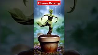 Flowers Dancing video#shorts #flowers #flowerdance #dance @Artur Homan