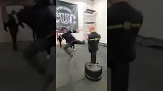 Манекен несподівано нокаутував