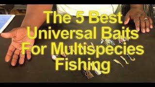 The 5 Best Universal Baits For Multispecies Fishing