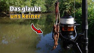 *Unerwarteter Fang - Gigantischer Wels im kleinen Fluss!*