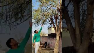 #shorts#new video # munga#nawada#desi chora#shorts#new video # munga#nawada#desi chora