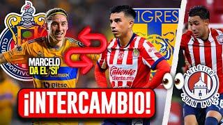 INTERCAMBIO CHIVAS-TIGRES ¡NENE BELTRAN POR MARCELO FLORES | BENJAMIN SANCHEZ AL SAN LUIS?