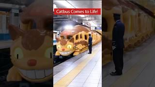 Catbus Comes To Life?! #ghibli #myneighbourtotoro #japan #anime