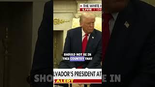 Criticism of open borders and immigration policies. #trendingnow #exclusive #trump #media #shorts