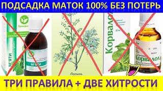 Подсадка маток 100% без потерь. 3 правила + 2 хитрости