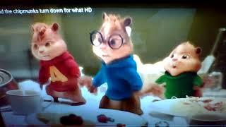 New Freetime Stuffy Team intro 8