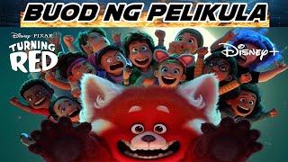 Buod ng Pelikula - Turning Red (2022)