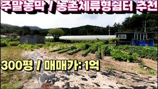 1504번)주말농막 /체류형쉼터 부지 300평 일억 급매처분 (양평부동산급매물)(양평토지매매)