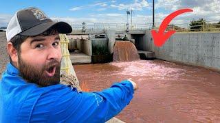 This DAM in the Middle of the Desert Holds RARE Fish?! (Wild)