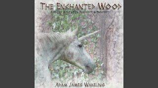 The Enchanted Wood - Unguided