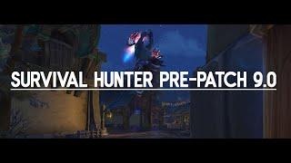 Survival Hunter PRE-PATCH 9.0 - All the changes you need to know