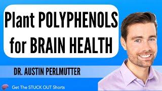 Plant Polyphenols for Brain health