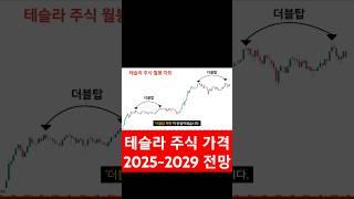 2025~2029, 테슬라 주식 가격 전망